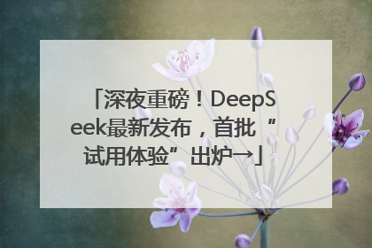深夜重磅！DeepSeek最新发布，首批“试用体验”出炉→