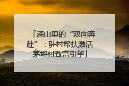 深山里的“双向奔赴”：驻村帮扶激活茅坪村致富引擎