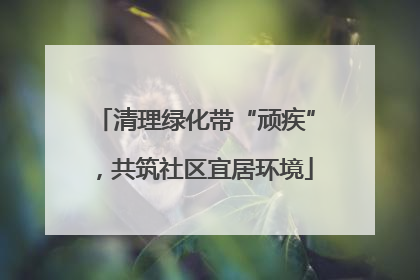 清理绿化带“顽疾”，共筑社区宜居环境