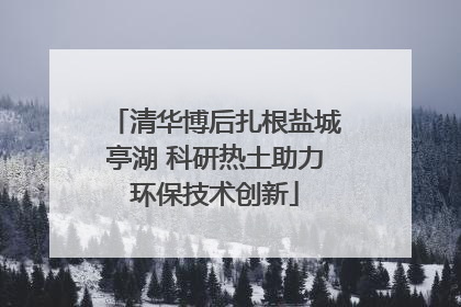 清华博后扎根盐城亭湖 科研热土助力环保技术创新
