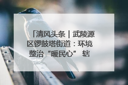清风头条｜武陵源区锣鼓塔街道：环境整治“暖民心” 辖区面貌“靓”起来