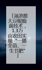 渑池推大豆根瘤菌技术，1.3万亩农田实现“一播全苗、一生节肥”