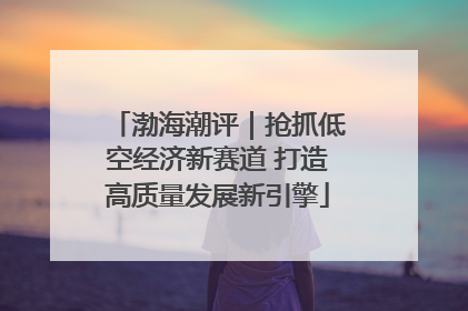 渤海潮评｜抢抓低空经济新赛道 打造高质量发展新引擎