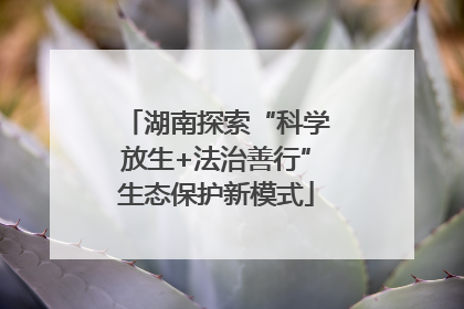 湖南探索“科学放生+法治善行”生态保护新模式