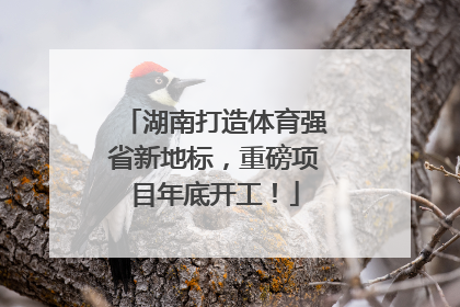 湖南打造体育强省新地标，重磅项目年底开工！