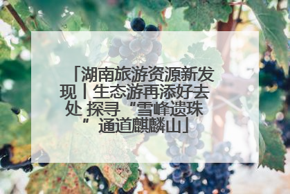 湖南旅游资源新发现丨生态游再添好去处 探寻“雪峰遗珠”通道麒麟山