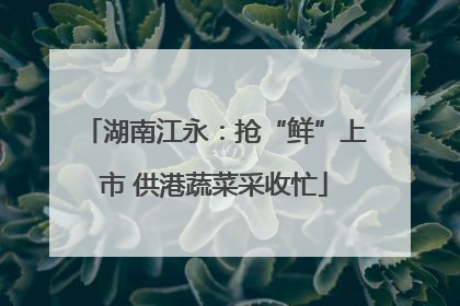 湖南江永：抢“鲜”上市 供港蔬菜采收忙