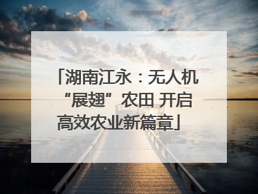 湖南江永：无人机“展翅”农田 开启高效农业新篇章