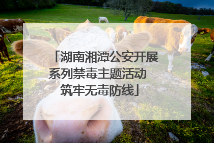 湖南湘潭公安开展系列禁毒主题活动 筑牢无毒防线