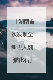 湖南首次发现全新世大熊猫化石