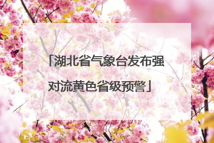 湖北省气象台发布强对流黄色省级预警