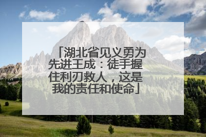 湖北省见义勇为先进王成：徒手握住利刃救人，这是我的责任和使命