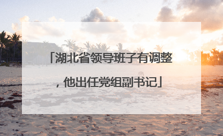 湖北省领导班子有调整，他出任党组副书记