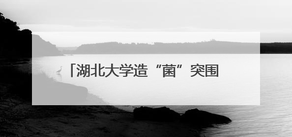 湖北大学造“菌”突围 生物制造点亮“中国芯”