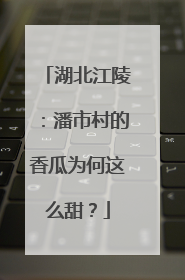 湖北江陵：潘市村的香瓜为何这么甜？
