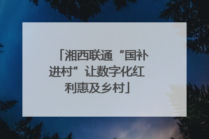 湘西联通“国补进村”让数字化红利惠及乡村