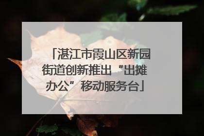 湛江市霞山区新园街道创新推出“出摊办公”移动服务台