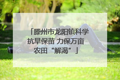 滕州市龙阳镇科学抗旱保苗 力保万亩农田“解渴”