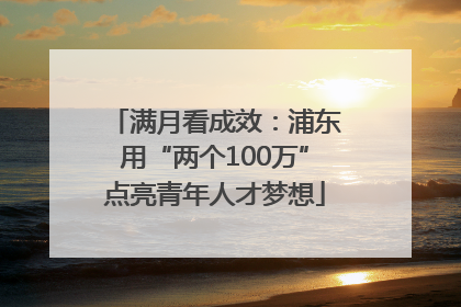 满月看成效：浦东用“两个100万”点亮青年人才梦想