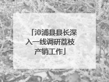 漳浦县县长深入一线调研荔枝产销工作