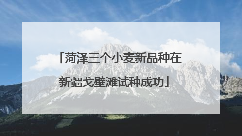 菏泽三个小麦新品种在新疆戈壁滩试种成功