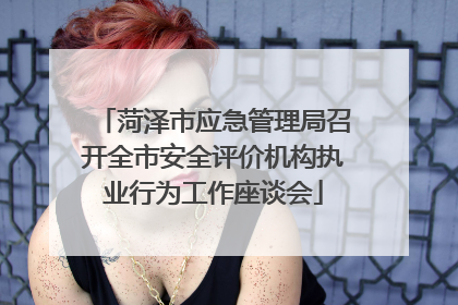 菏泽市应急管理局召开全市安全评价机构执业行为工作座谈会