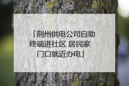 荆州供电公司自助终端进社区 居民家门口就近办电