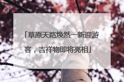 草原天路焕然一新迎游客，吉祥物即将亮相