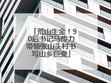 荒山生金！90后书记马传力带领张山头村书写山乡巨变