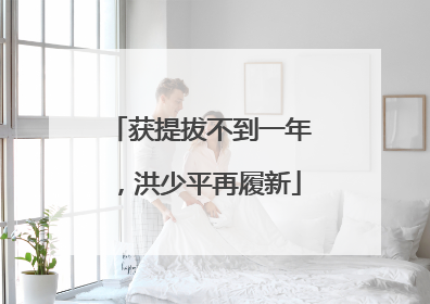 获提拔不到一年，洪少平再履新