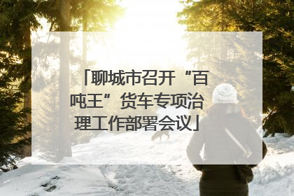 聊城市召开“百吨王”货车专项治理工作部署会议
