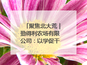 聚焦北大荒｜勤得利农场有限公司：以学促干推动学习教育“升温提速”