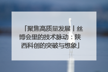 聚焦高质量发展丨丝博会里的技术脉动：陕西科创的突破与想象