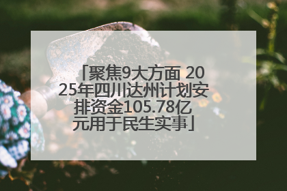 聚焦9大方面 2025年四川达州计划安排资金105.78亿元用于民生实事