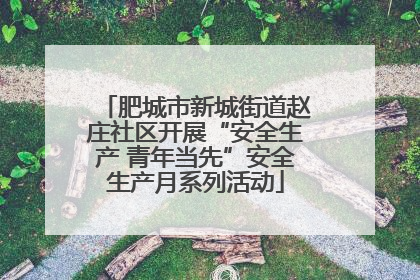 肥城市新城街道赵庄社区开展“安全生产 青年当先”安全生产月系列活动