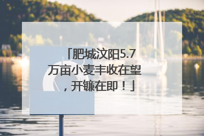 肥城汶阳5.7万亩小麦丰收在望，开镰在即！