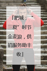 肥城：“三夏”时节金麦浪，供销服务助丰收