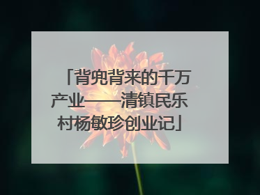 背兜背来的千万产业——清镇民乐村杨敏珍创业记