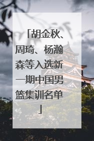 胡金秋、周琦、杨瀚森等入选新一期中国男篮集训名单