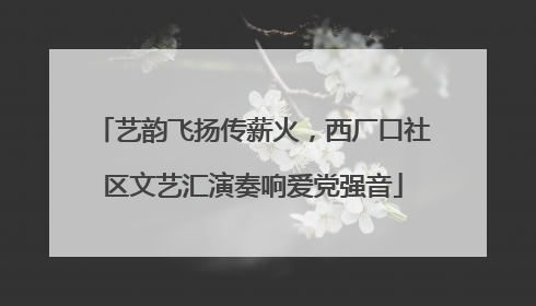 艺韵飞扬传薪火，西厂口社区文艺汇演奏响爱党强音