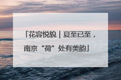 花容悦貌｜夏至已至，南京“荷”处有美韵