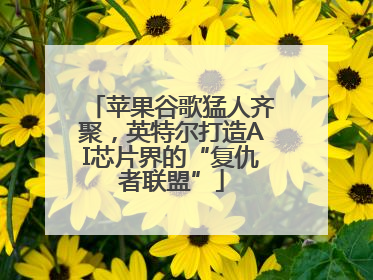 苹果谷歌猛人齐聚，英特尔打造AI芯片界的“复仇者联盟”