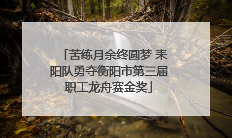 苦练月余终圆梦 耒阳队勇夺衡阳市第三届职工龙舟赛金奖