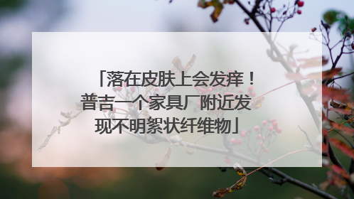 落在皮肤上会发痒！普吉一个家具厂附近发现不明絮状纤维物