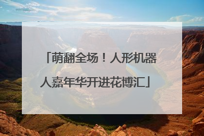 萌翻全场！人形机器人嘉年华开进花博汇