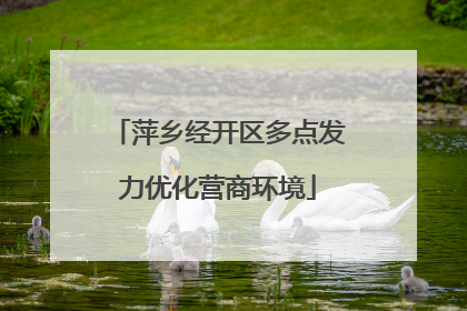 萍乡经开区多点发力优化营商环境