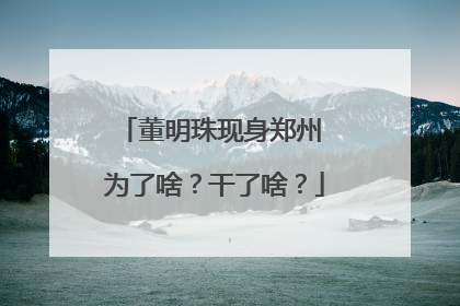 董明珠现身郑州 为了啥？干了啥？