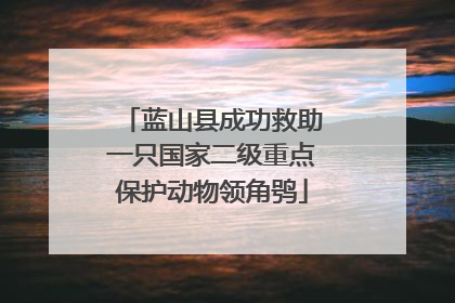 蓝山县成功救助一只国家二级重点保护动物领角鸮