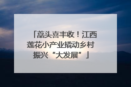 藠头喜丰收！江西莲花小产业撬动乡村振兴“大发展”