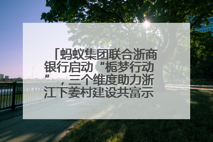 蚂蚁集团联合浙商银行启动“栀梦行动”，三个维度助力浙江下姜村建设共富示范区示范点